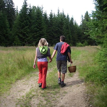 Penzion U Studeneho Potoka Nove Hute Zewnętrze zdjęcie