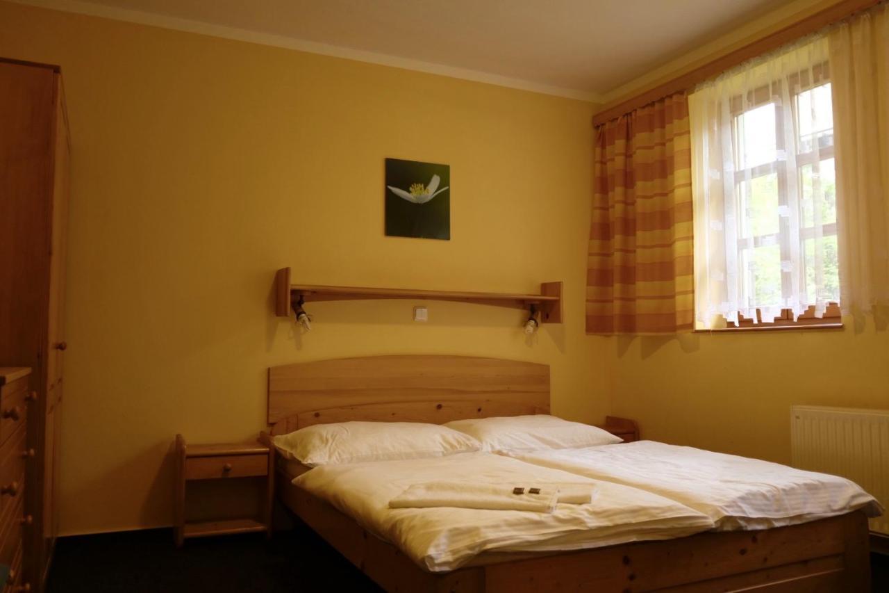 Penzion U Studeneho Potoka Nove Hute Zewnętrze zdjęcie